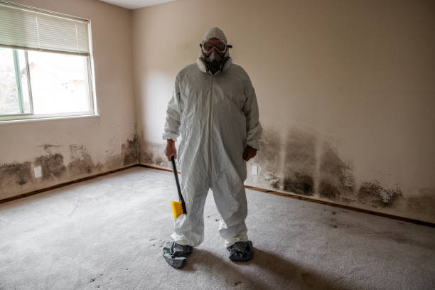 Best Commercial Mold Remediation in Viroqua, WI